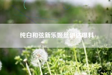 纯白和弦新乐姬丝琳达爆料