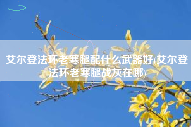 艾尔登法环老寒腿配什么武器好(艾尔登法环老寒腿战灰在哪)