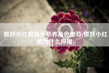 狐妖小红娘新手必养角色推荐(狐妖小红娘为什么停播)