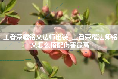 王者荣耀铭文法师出装_王者荣耀法师铭文怎么搭配伤害最高