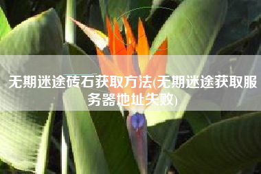 无期迷途砖石获取方法(无期迷途获取服务器地址失败)