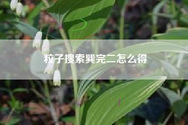 粒子搜索巽完二怎么得