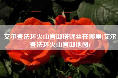 艾尔登法环火山官邸塔妮丝在哪里(艾尔登法环火山官邸地图)