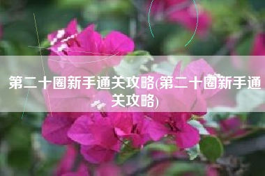 第二十圈新手通关攻略(第二十圈新手通关攻略)
