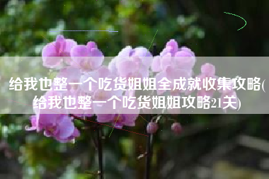 给我也整一个吃货姐姐全成就收集攻略(给我也整一个吃货姐姐攻略21关)