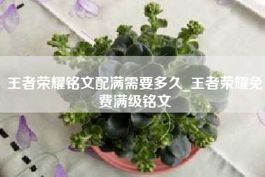 王者荣耀铭文配满需要多久_王者荣耀免费满级铭文