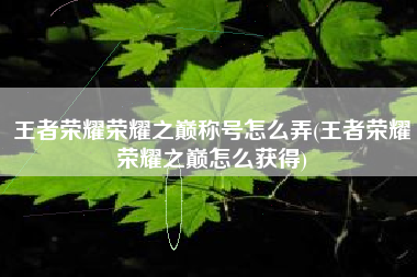 王者荣耀荣耀之巅称号怎么弄(王者荣耀荣耀之巅怎么获得)