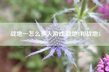 战地一怎么多人游戏,战地1和战地5