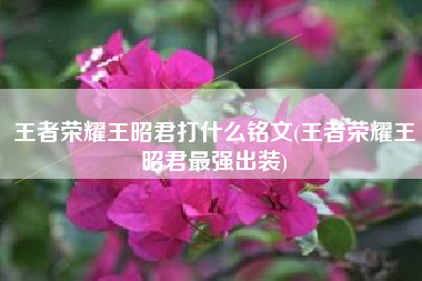 王者荣耀王昭君打什么铭文(王者荣耀王昭君最强出装)