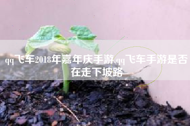 qq飞车2018年嘉年庆手游,qq飞车手游是否在走下坡路