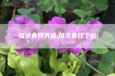 精灵食肆养成(精灵食肆下载)