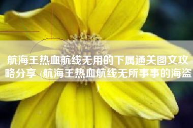 航海王热血航线无用的下属通关图文攻略分享 (航海王热血航线无所事事的海盗)