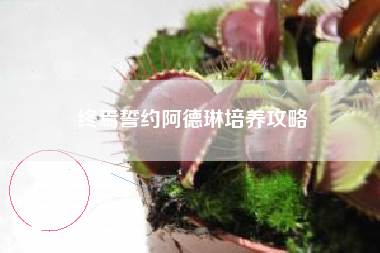 终焉誓约阿德琳培养攻略