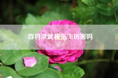百将录武将张飞厉害吗