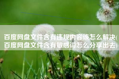 百度网盘文件含有违规内容该怎么解决(百度网盘文件含有敏感词怎么分享出去)
