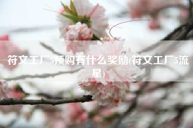 符文工厂5预购有什么奖励(符文工厂5流星)
