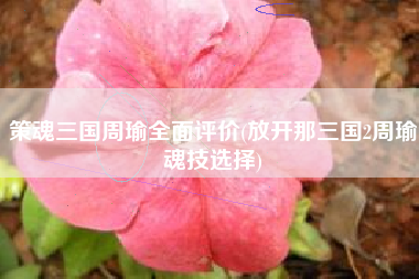 策魂三国周瑜全面评价(放开那三国2周瑜魂技选择)
