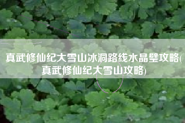 真武修仙纪大雪山冰洞路线水晶璧攻略(真武修仙纪大雪山攻略)