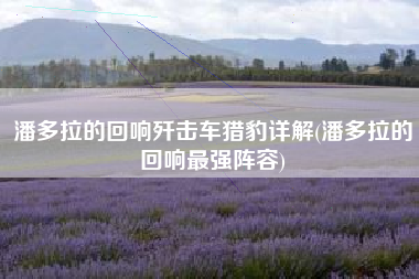 潘多拉的回响歼击车猎豹详解(潘多拉的回响最强阵容)