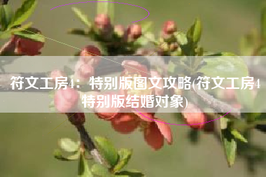 符文工房4：特别版图文攻略(符文工房4特别版结婚对象)