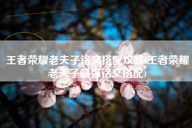 王者荣耀老夫子铭文搭配攻略(王者荣耀老夫子最强铭文搭配)