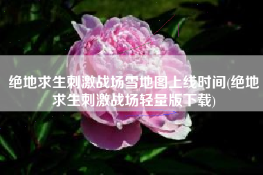 绝地求生刺激战场雪地图上线时间(绝地求生刺激战场轻量版下载)