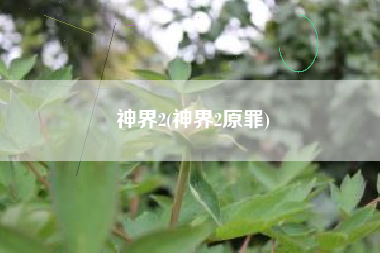 神界2(神界2原罪)