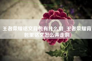 王者荣耀铭文背包有什么用_王者荣耀背包里铭文怎么弄走啊