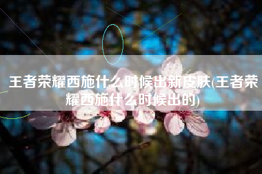 王者荣耀西施什么时候出新皮肤(王者荣耀西施什么时候出的)