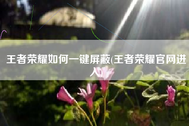 王者荣耀如何一键屏蔽(王者荣耀官网进入)