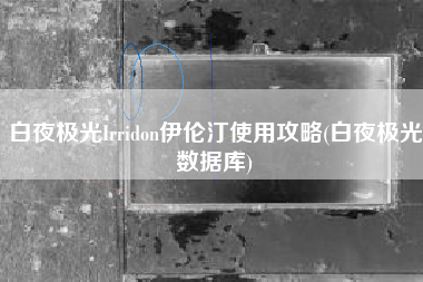 白夜极光Irridon伊伦汀使用攻略(白夜极光数据库)