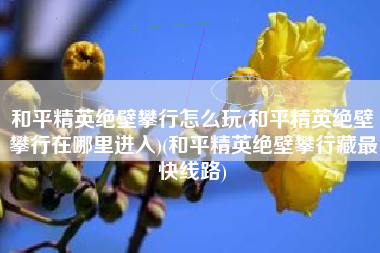 和平精英绝壁攀行怎么玩(和平精英绝壁攀行在哪里进入)(和平精英绝壁攀行藏最快线路)