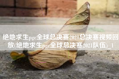 绝地求生pgc全球总决赛2021总决赛视频回放(绝地求生pgc全球总决赛2021队伍)_1