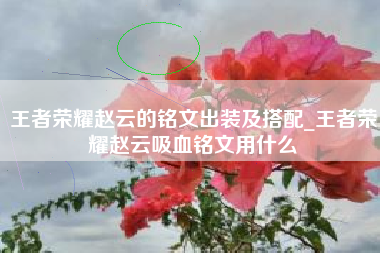 王者荣耀赵云的铭文出装及搭配_王者荣耀赵云吸血铭文用什么