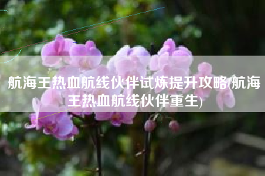 航海王热血航线伙伴试炼提升攻略(航海王热血航线伙伴重生)