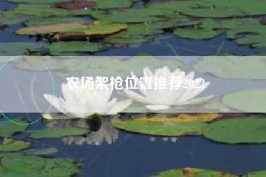 农场架枪位置推荐2022