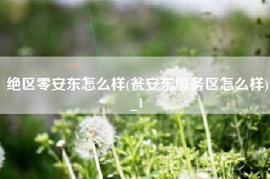 绝区零安东怎么样(瓮安东服务区怎么样)_1