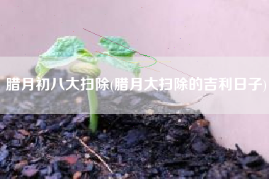腊月初八大扫除(腊月大扫除的吉利日子)