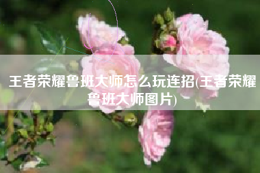 王者荣耀鲁班大师怎么玩连招(王者荣耀鲁班大师图片)