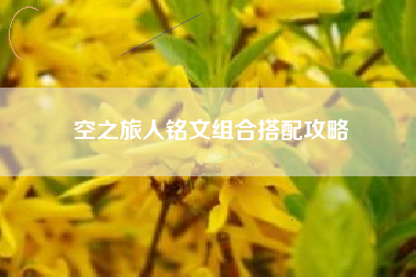空之旅人铭文组合搭配攻略