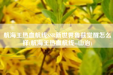航海王热血航线SSR新世界鲁兹觉醒怎么样(航海王热血航线ss山治)