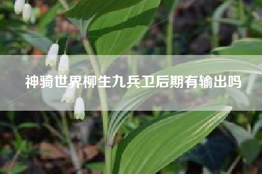 神骑世界柳生九兵卫后期有输出吗