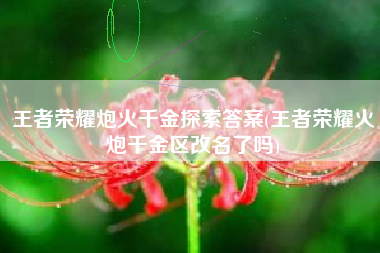 王者荣耀炮火千金探索答案(王者荣耀火炮千金区改名了吗)