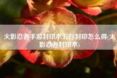 火影忍者手游封印术五行封印怎么得(火影忍者封印术)