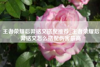 王者荣耀后羿铭文搭配推荐_王者荣耀后羿铭文怎么搭配伤害最高