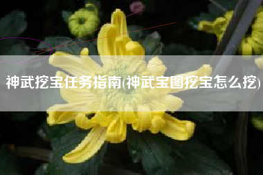 神武挖宝任务指南(神武宝图挖宝怎么挖)