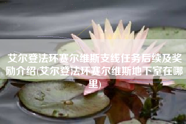 艾尔登法环赛尔维斯支线任务后续及奖励介绍(艾尔登法环赛尔维斯地下室在哪里)