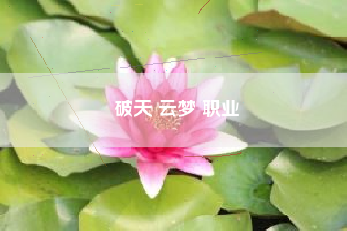 破天 云梦 职业