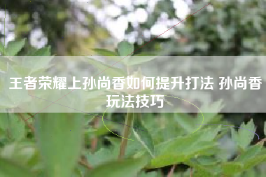王者荣耀上孙尚香如何提升打法 孙尚香玩法技巧