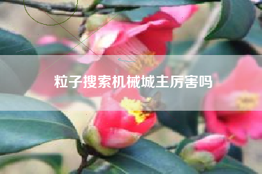 粒子搜索机械城主厉害吗
